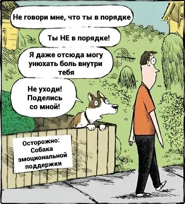 – Не говори мне, что ты в порядке. Ты НЕ в порядке! Я даже отсюда могу унюхать боль внутри тебя. Не уходи! Поделись со мной!
*Осторожно: Собака эмоциональной поддержки!*