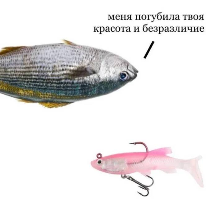 Меня погубила твоя красота и безразличие...