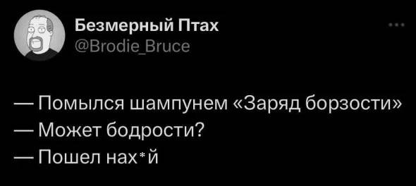 — Помылся шампунем «Заряд борзости».
— Может бодрости?
— Пошел нах*й...