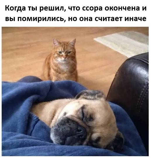 *Когда ты решил, что ссора окончена и вы помирились, но она считает иначе.*