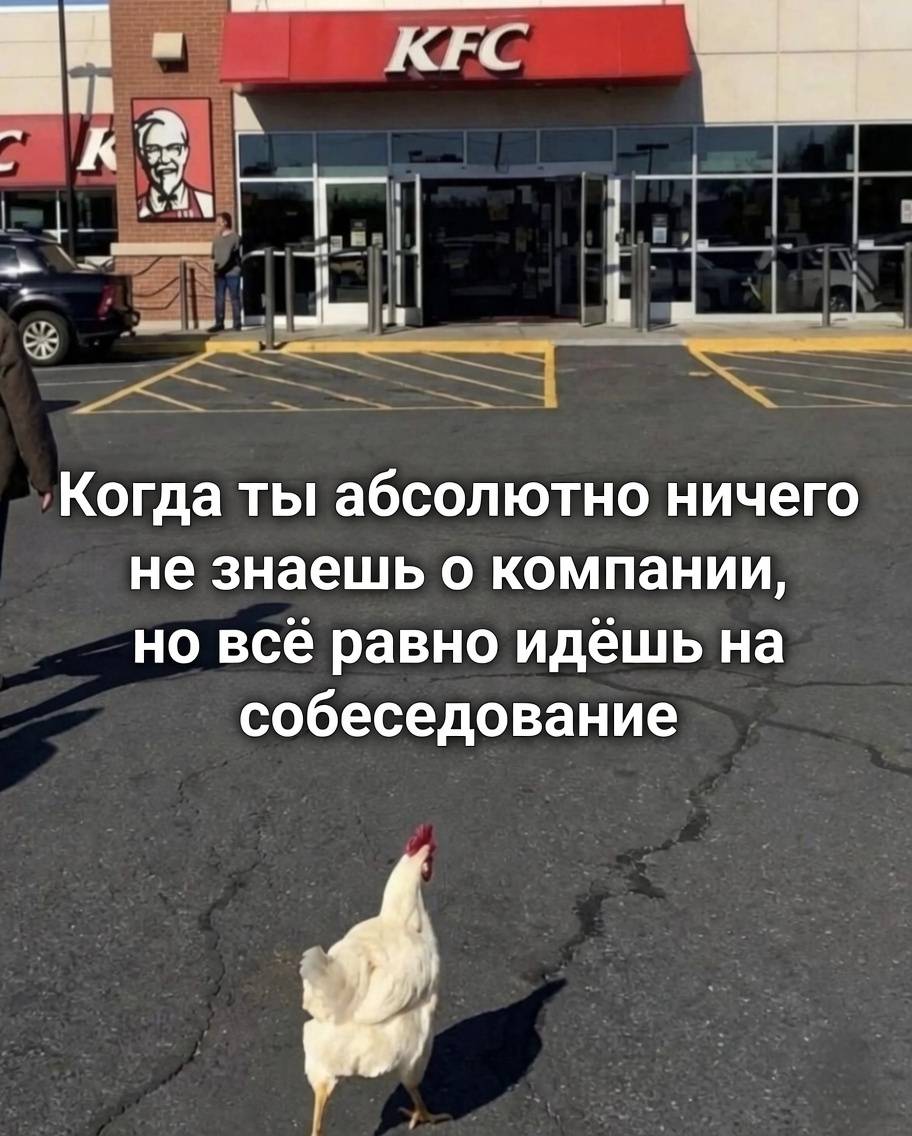 *Когда ты абсолютно ничего не знаешь о компании, но всё равно идёшь на собеседование.*