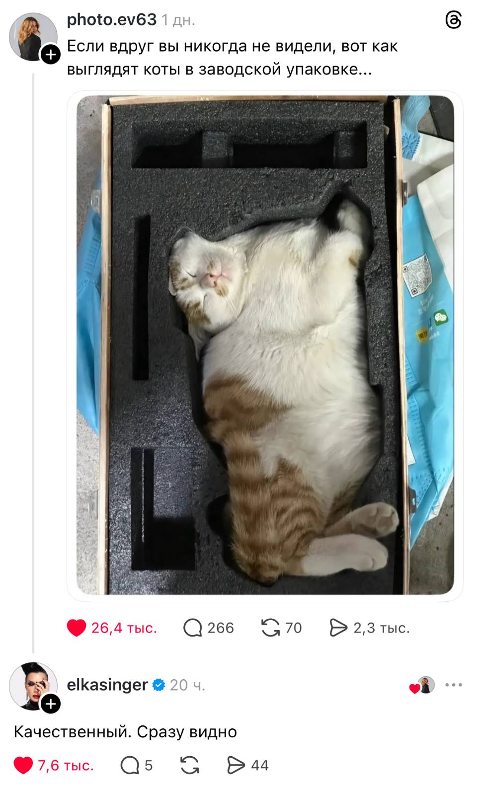 – Если вдруг вы никогда не видели, вот как выглядят коты в заводской упаковке...
– Качественный. Сразу видно.