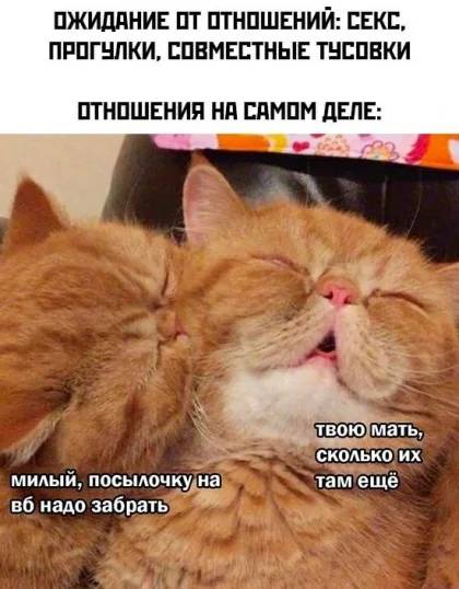 Ожидание от отношений: секс, прогулки, совместные тусовки.
Отношения на самом деле: 
– Милый, посылочку на ВБ надо забрать.
– Твою мать, сколько их там ещё?!