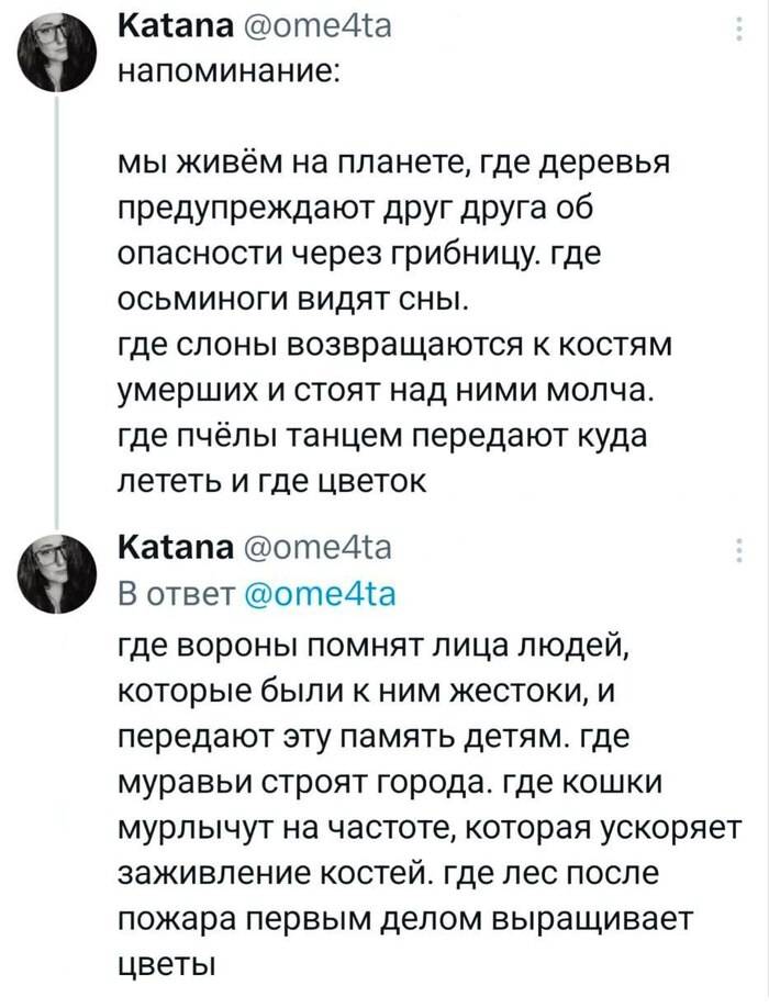 Напоминание: мы живём на планете, где деревья предупреждают друг друга об опасности через грибницу, где осьминоги видят сны, где слоны возвращаются к костям умерших и стоят над ними молча, где пчёлы танцем передают куда лететь и где цветок, где вороны помнят лица людей, которые были к ним жестоки, и передают эту память детям, где муравьи строят города, где кошки мурлычут на частоте, которая ускоряет заживление костей, где лес после пожара первым делом выращивает цветы.