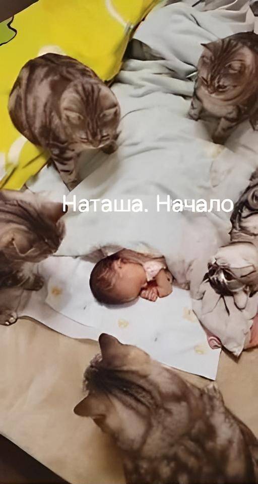 Наташа. Начало.