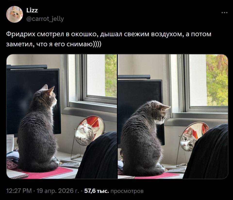 Фридрих смотрел в окошко, дышал свежим воздухом, а потом заметил, что я его снимаю))))