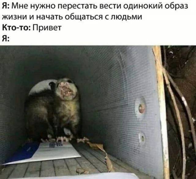 Я: Мне нужно перестать вести одинокий образ жизни и начать общаться с людьми
Кто-то: Привет!
Я: Ааааа!