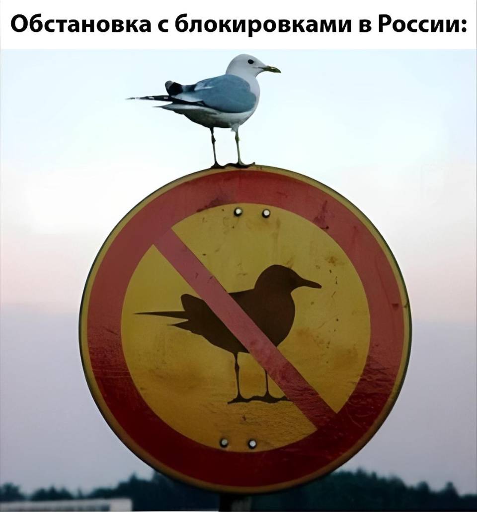 *Обстановка с блокировками в России*
