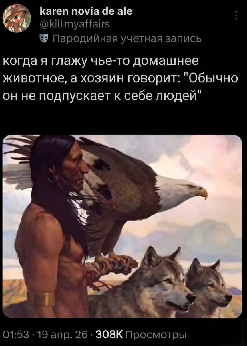 Когда я глажу чье-то домашнее животное, а хозяин говорит: Обычно он не подпускает к себе людей.