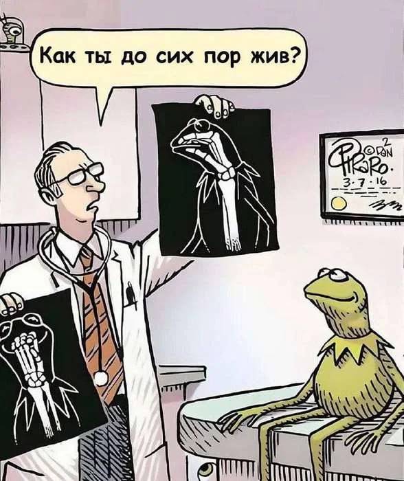 – Как ты до сих пор жив?