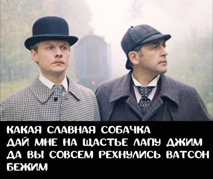 Какая славная собачка
дай мне на счастье лапу Джим
да вы совсем рехнулись Ватсон
бежим