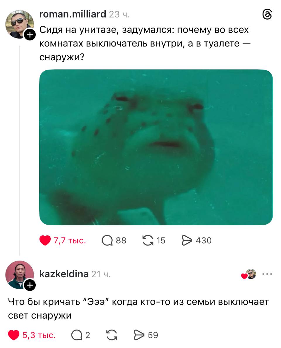 – Сидя на унитазе, задумался: почему во всех комнатах выключатель внутри, а в туалете — снаружи?
– Что бы кричать «Эээ!» когда кто-то из семьи выключает свет снаружи.