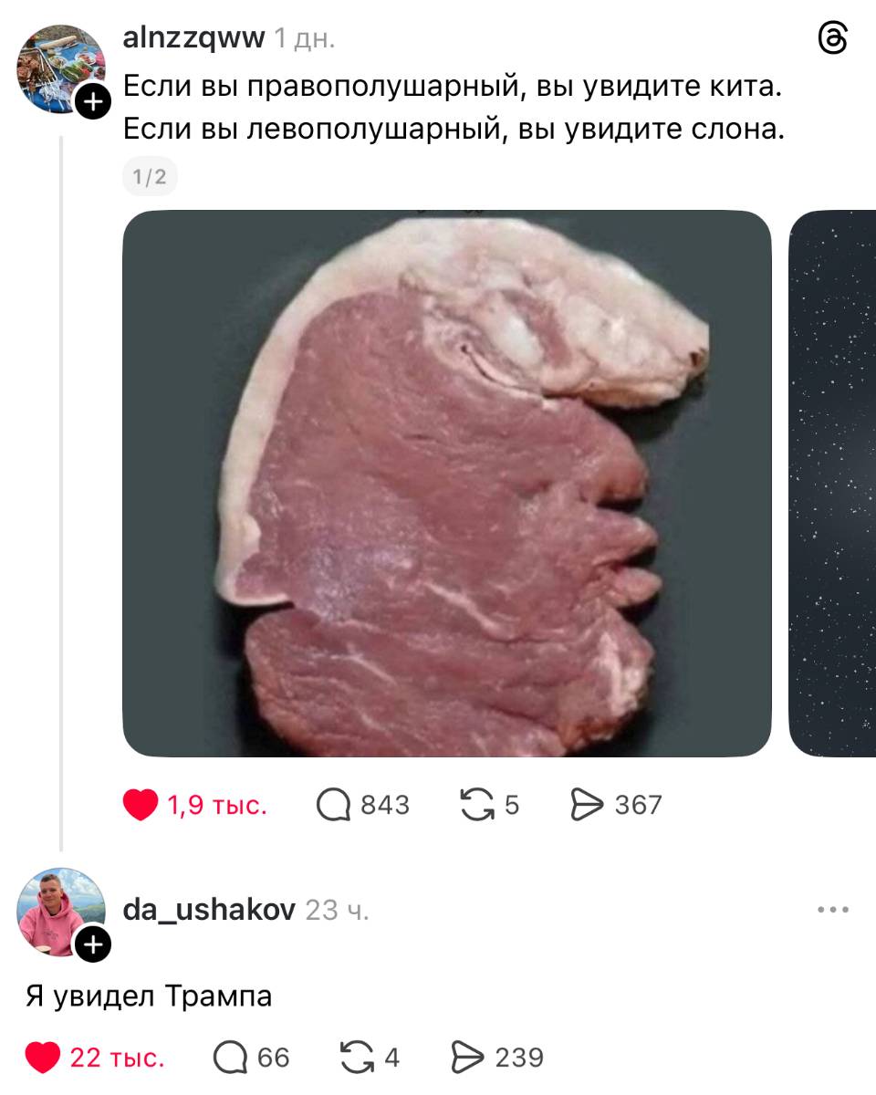 – Если вы правополушарный, вы увидите кита. Если вы левополушарный, вы увидите слона.
– Я увидел Трампа.