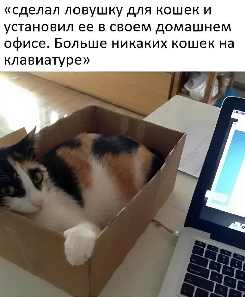 Сделал ловушку для кошек и установил ее в своем домашнем Офисе. Больше никаких кошек на клавиатуре.