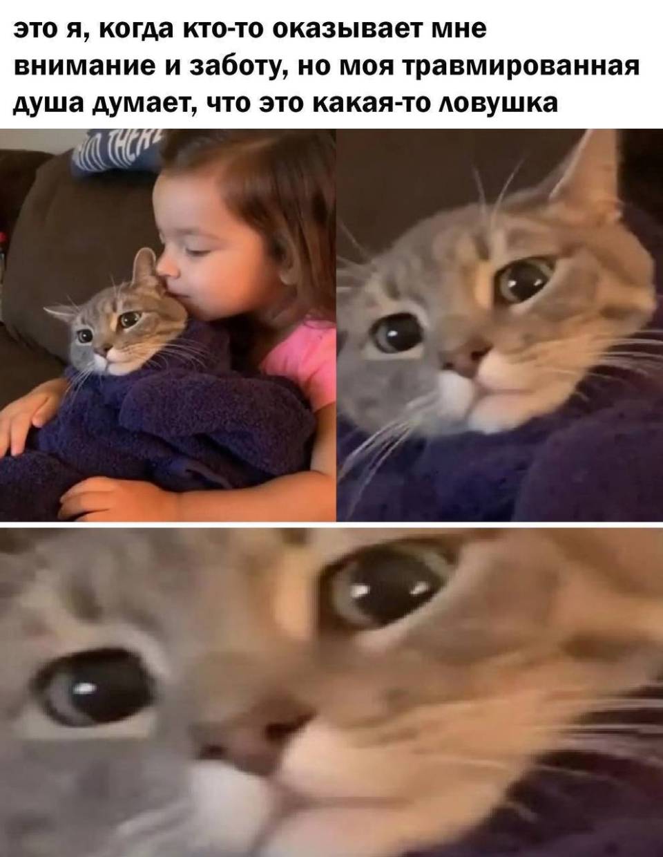 Это я, когда кто-то оказывает мне внимание и заботу, но моя травмированная душа думает, что это какая-то ловушка.