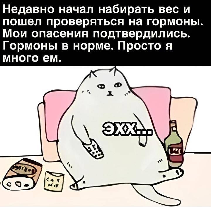 Недавно начал набирать вес и пошел проверяться на гормоны. Мои опасения подтвердились. Гормоны в норме. Просто я много ем.