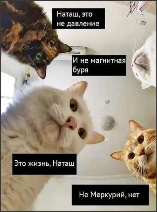 *Наташ, это давление*
*И не магнитная буря*
*Это жизнь, Наташ*
*Не Меркурий, нет*