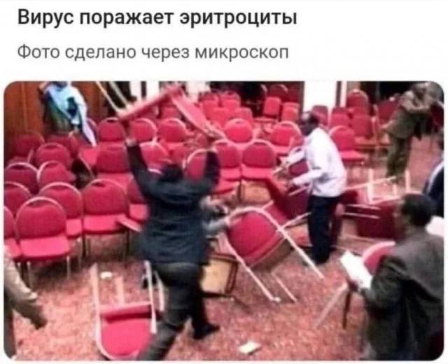 Вирус поражает эритроциты.
Фото сделано через микроскоп.