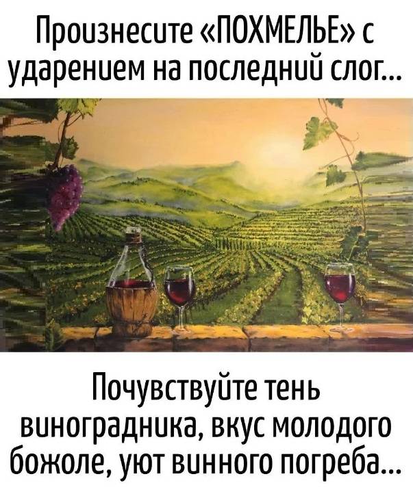Произнесите «ПОХМЕЛЬЕ» с ударением на последний слог...
Почувствуйте тень виноградника, вкус молодого божоле, уют винного погреба...