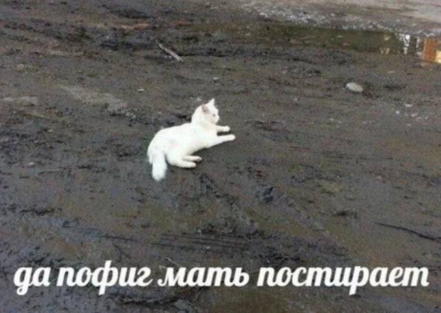 *Да пофиг, мать постирает*