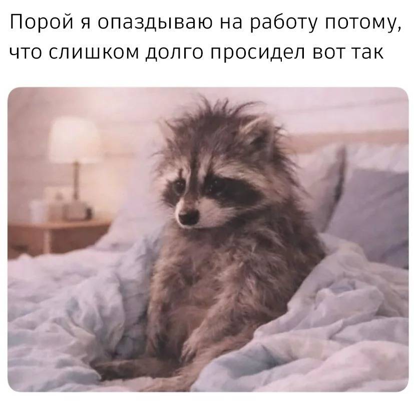 *Порой я опаздываю на работу потому, что слишком долго просидел вот так*