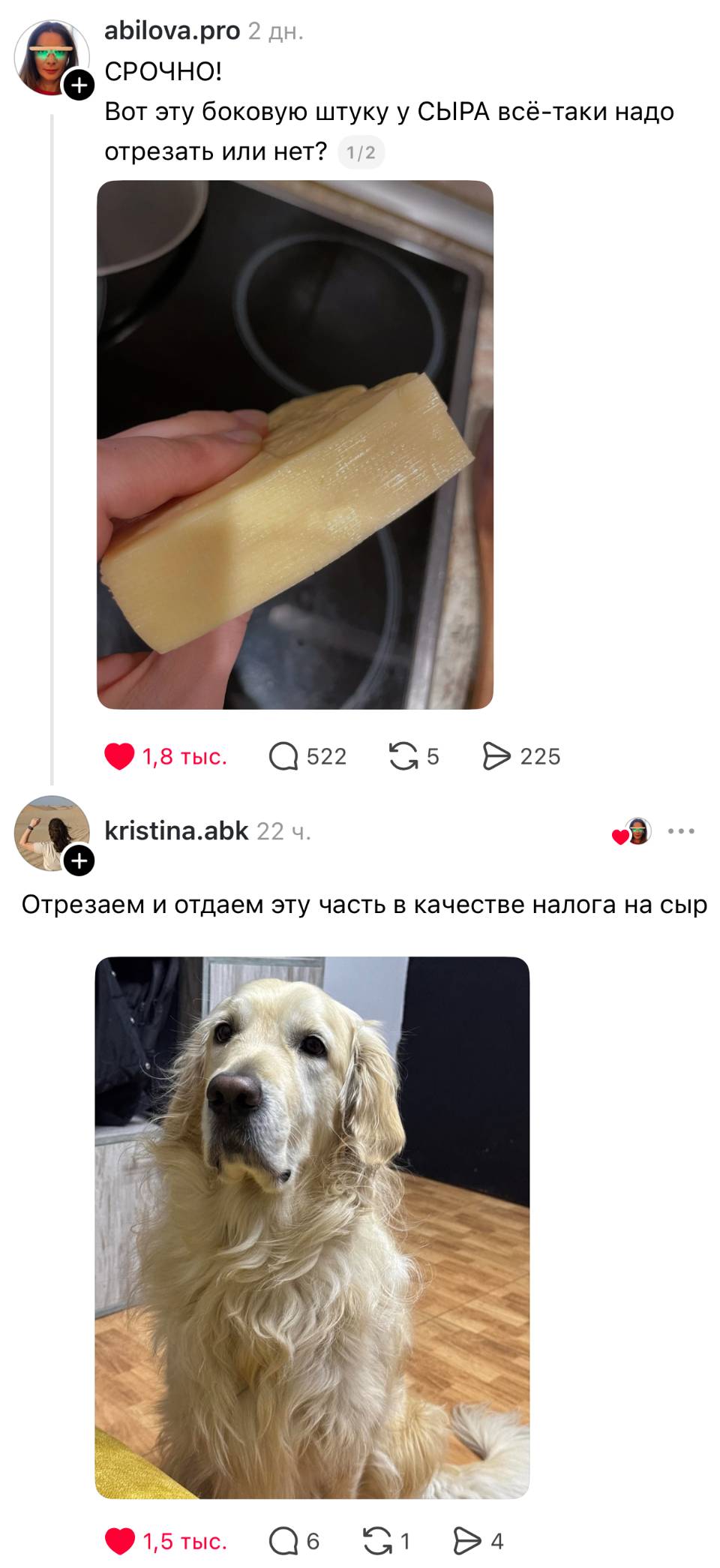 – СРОЧНО! Вот эту боковую штуку у СЫРА всё-таки надо отрезать или нет?
– Отрезаем и отдаем эту часть в качестве налога на сыр.