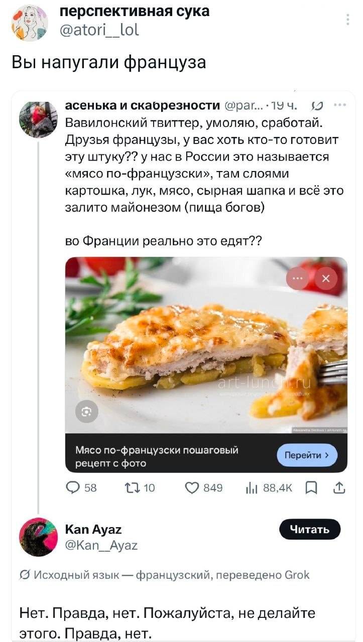 *Вы напугали француза*
– Вавилонский твиттер, умоляю, сработай. Друзья французы, у вас хоть кто-то готовит эту штуку?? у нас в России это называется «мясо по-французски», там слоями картошка, лук, мясо, сырная шапка и всё это залито майонезом (пища богов) во Франции реально это едят??
Исходный язык — французский, переведено Grok
– Нет. Правда, нет. Пожалуйста, не делайте Этого. Правда, нет.