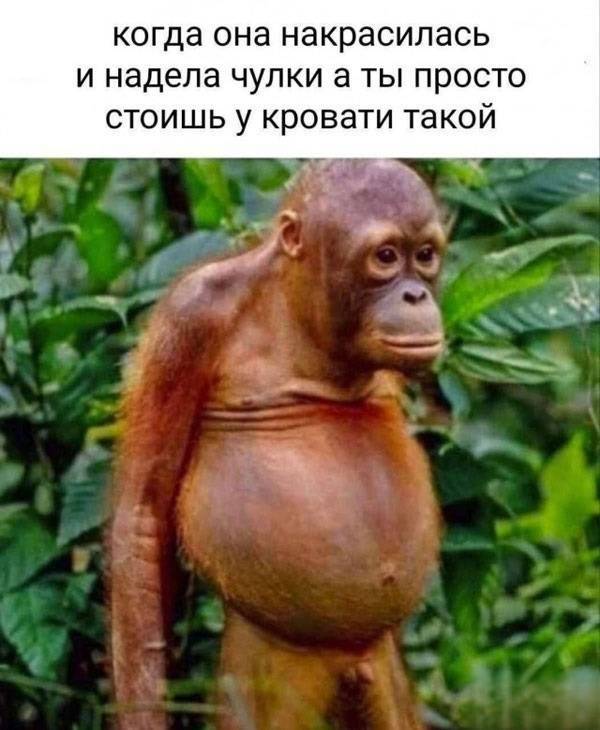 *Когда она накрасилась и надела чулки, а ты просто стоишь у кровати такой*