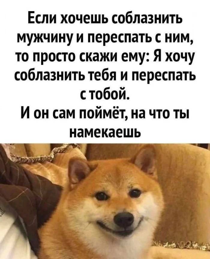 Если хочешь соблазнить мужчину и переспать с ним, то просто скажи ему: «Я хочу соблазнить тебя и переспать с тобой». И он сам поймёт, на что ты намекаешь.