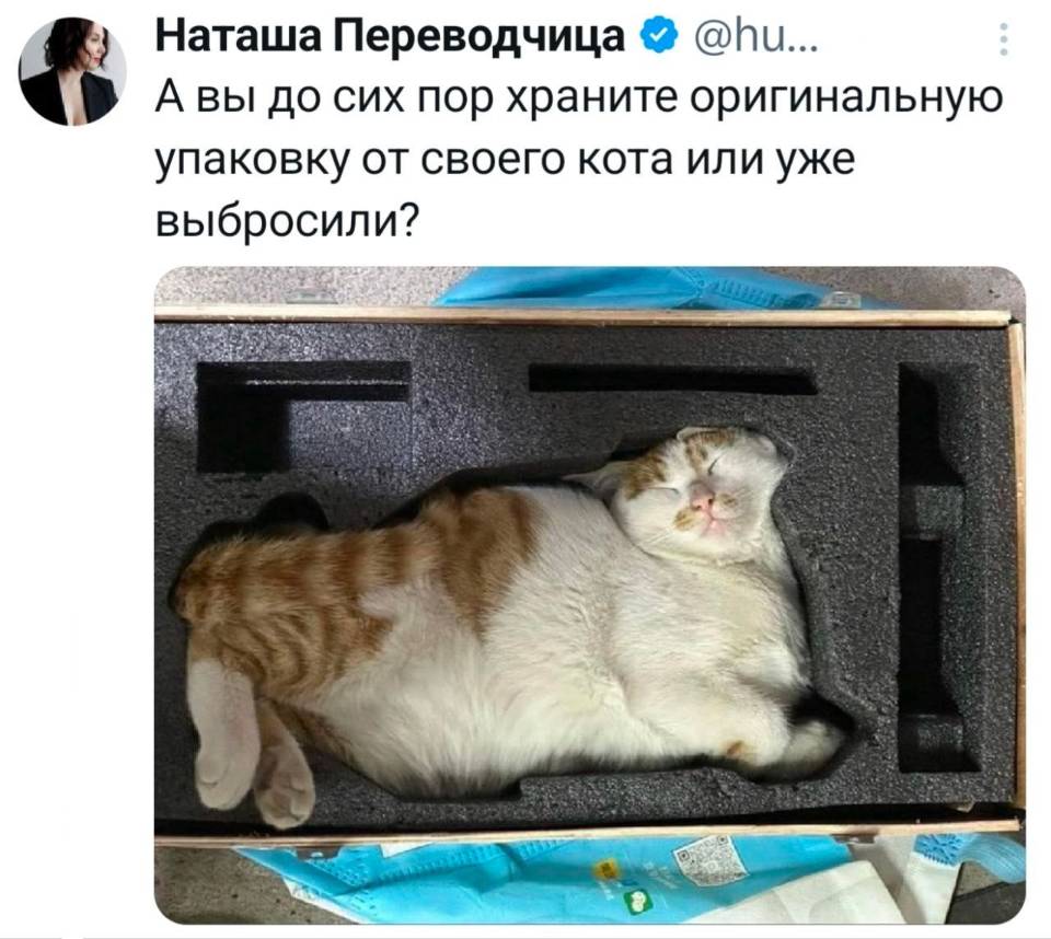 А вы до сих пор храните оригинальную упаковку от своего кота или уже выбросили?