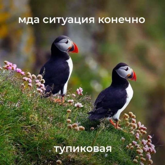 Мда, ситуация конечно тупиковая...