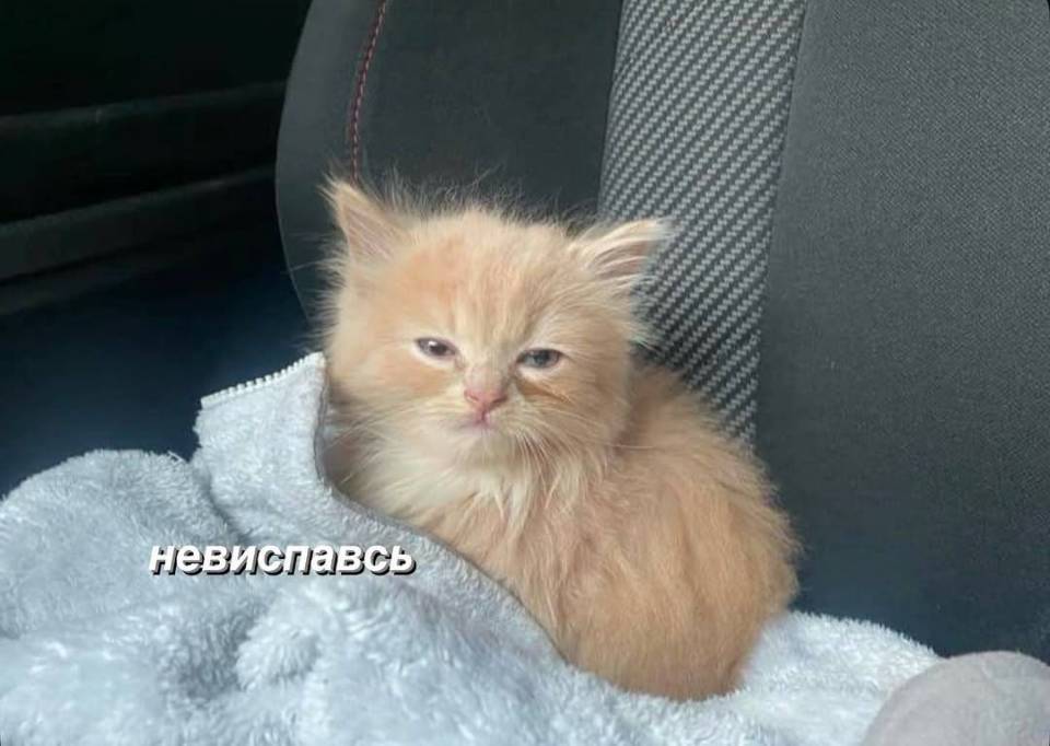 *Не выспался*