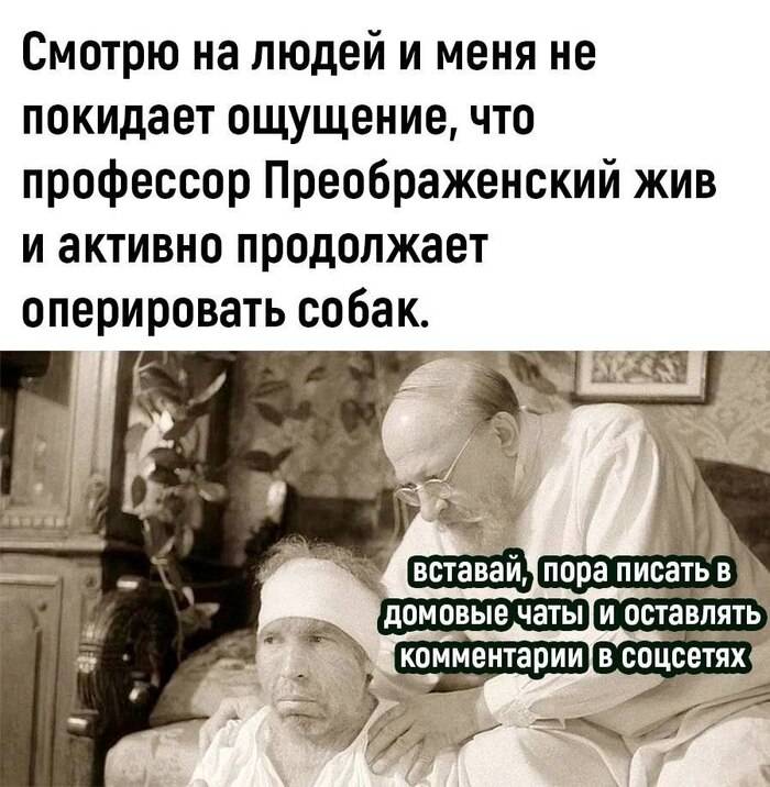 Смотрю я на окружающих меня людей и меня не покидает ощущение того, что профессор Преображенский жив и продолжает активно оперировать собак.
– Вставай, пора писать в домовые чаты и оставлять комментарии в соцсетях!