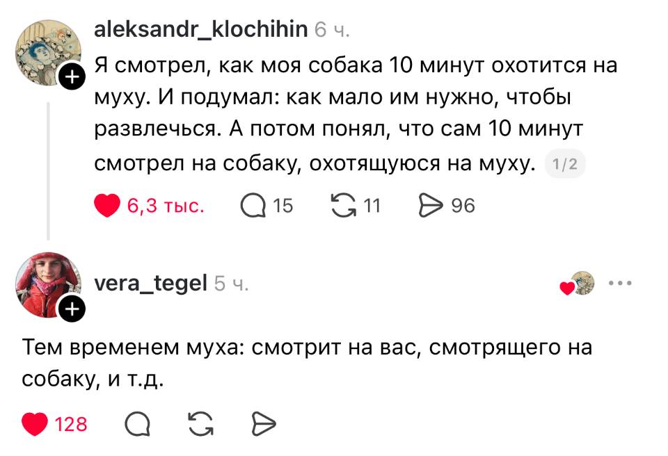 – Я смотрел, как моя собака 10 минут охотится на муху. И подумал: как мало им нужно, чтобы развлечься. А потом понял, что сам 10 минут смотрел на собаку, охотящуюся на муху.
– Тем временем муха: смотрит на вас, смотрящего на собаку, и т. д. | Животные
