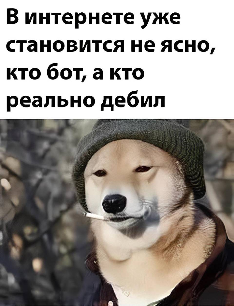 В интернете уже становится не ясно, кто бот, а кто реально дебил.