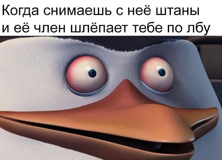 *Когда снимаешь с неё штаны и её член шлёпает тебе по лбу.*