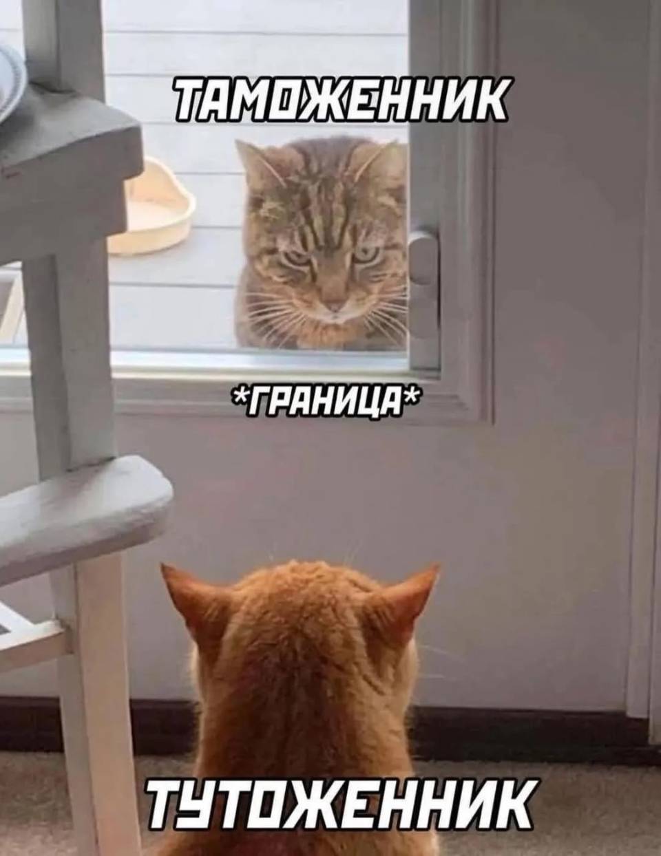 ТАМОЖЕННИК
*Граница*
ТУТОЖЕННИК