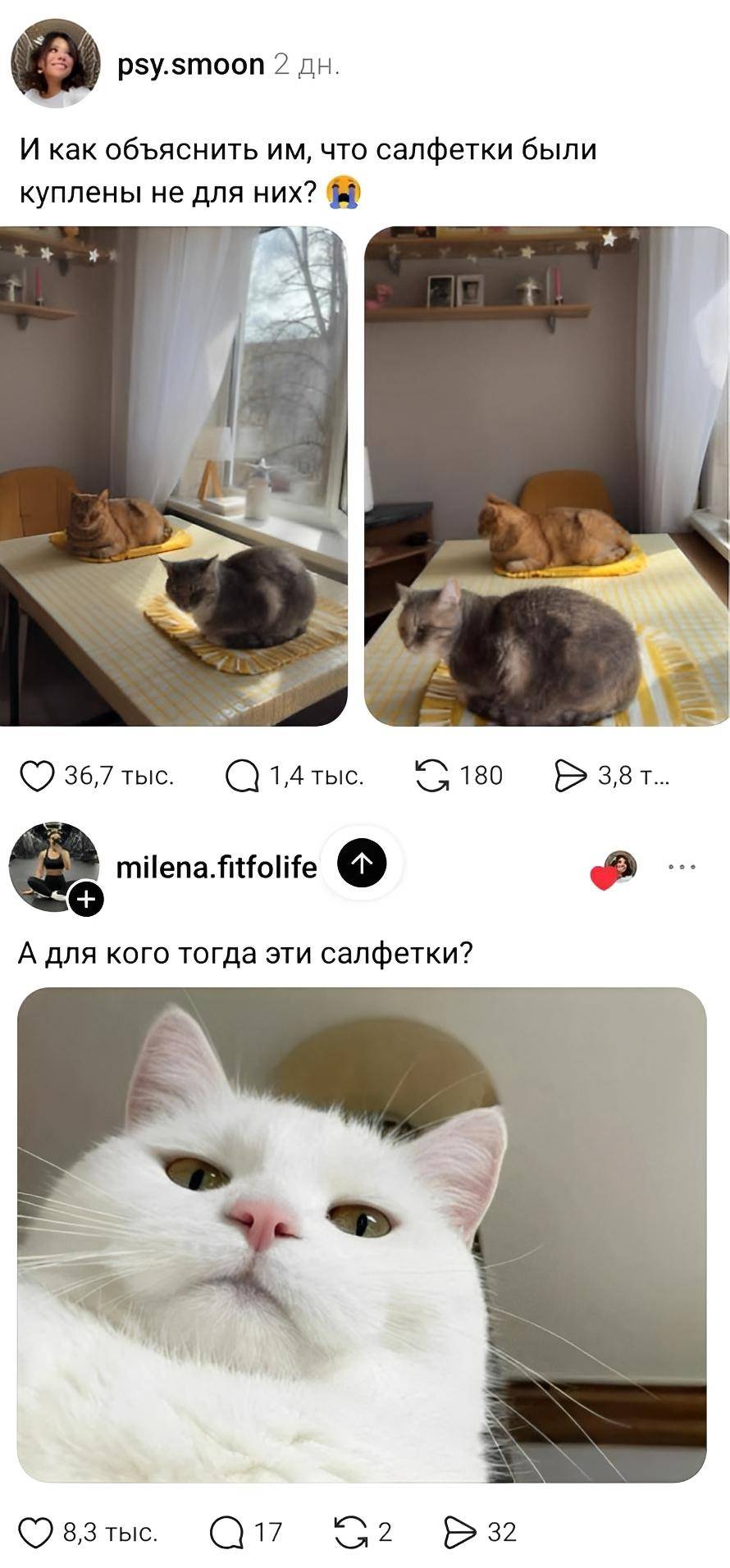 – И как объяснить им, что салфетки были куплены не для них?
– А для кого тогда эти салфетки?