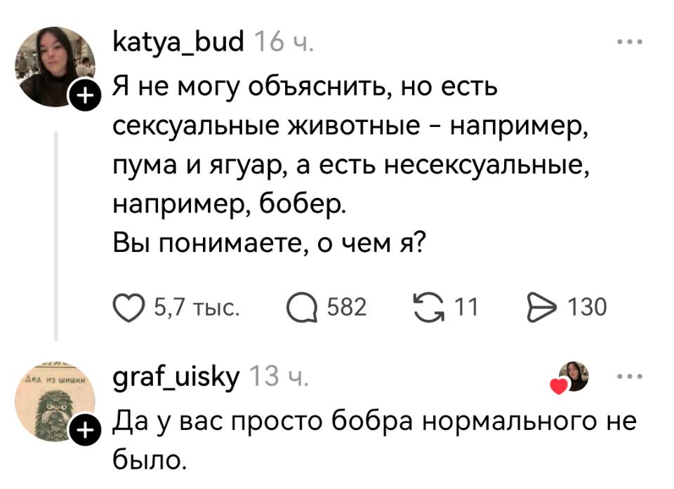 – Я не могу объяснить, но есть сексуальные животные – например, пума и ягуар, а есть несексуальные, например, бобер. Вы понимаете, о чем я?
– Да у вас просто бобра нормального не было. | Животные