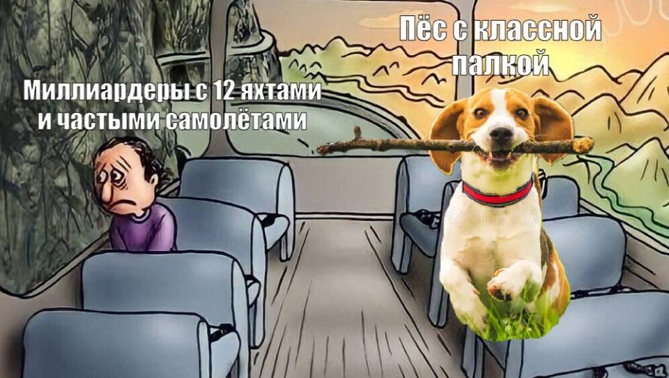 *Миллиардеры с 12 яхтами и частными самолётами*
*Пёс с классной палкой*