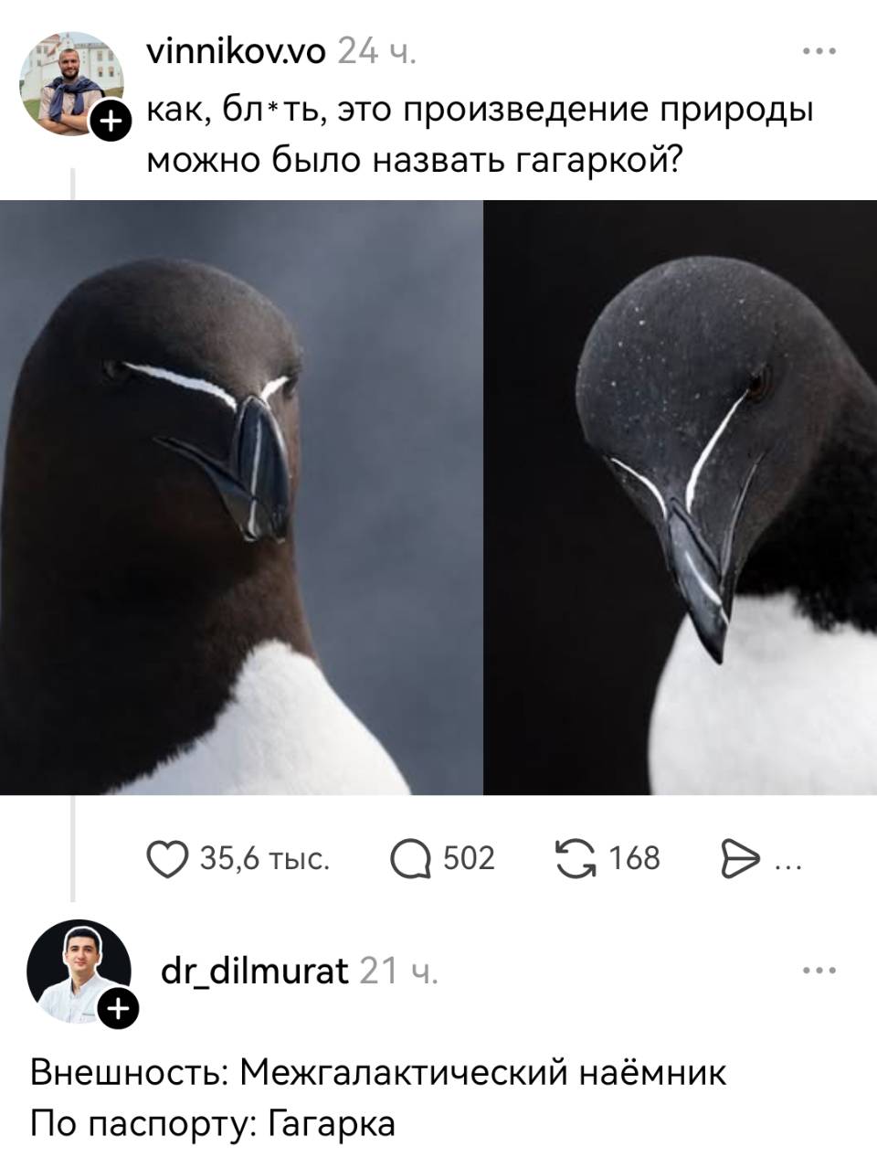– Как, бл*ть, это произведение природы можно было назвать гагаркой?
– Внешность: Межгалактический наёмник. По паспорту: Гагарка.
