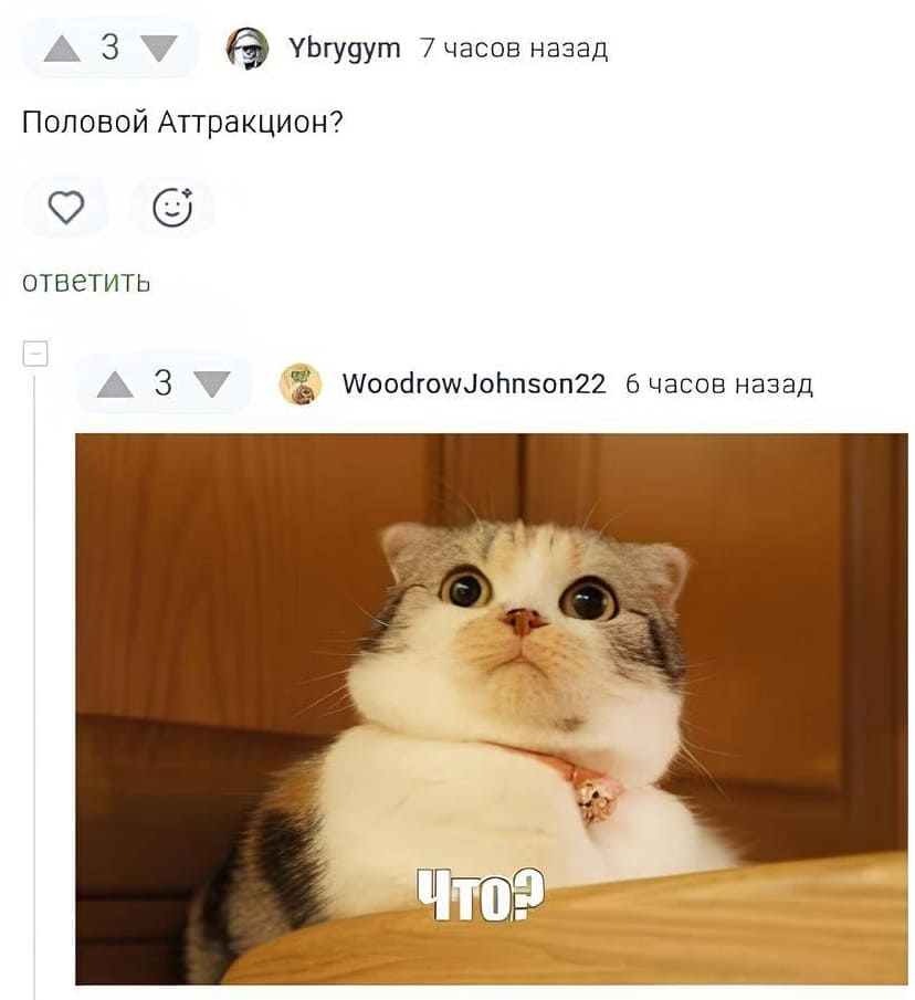 – Что такое ПА?
– Половой Аттракцион?
– Что?