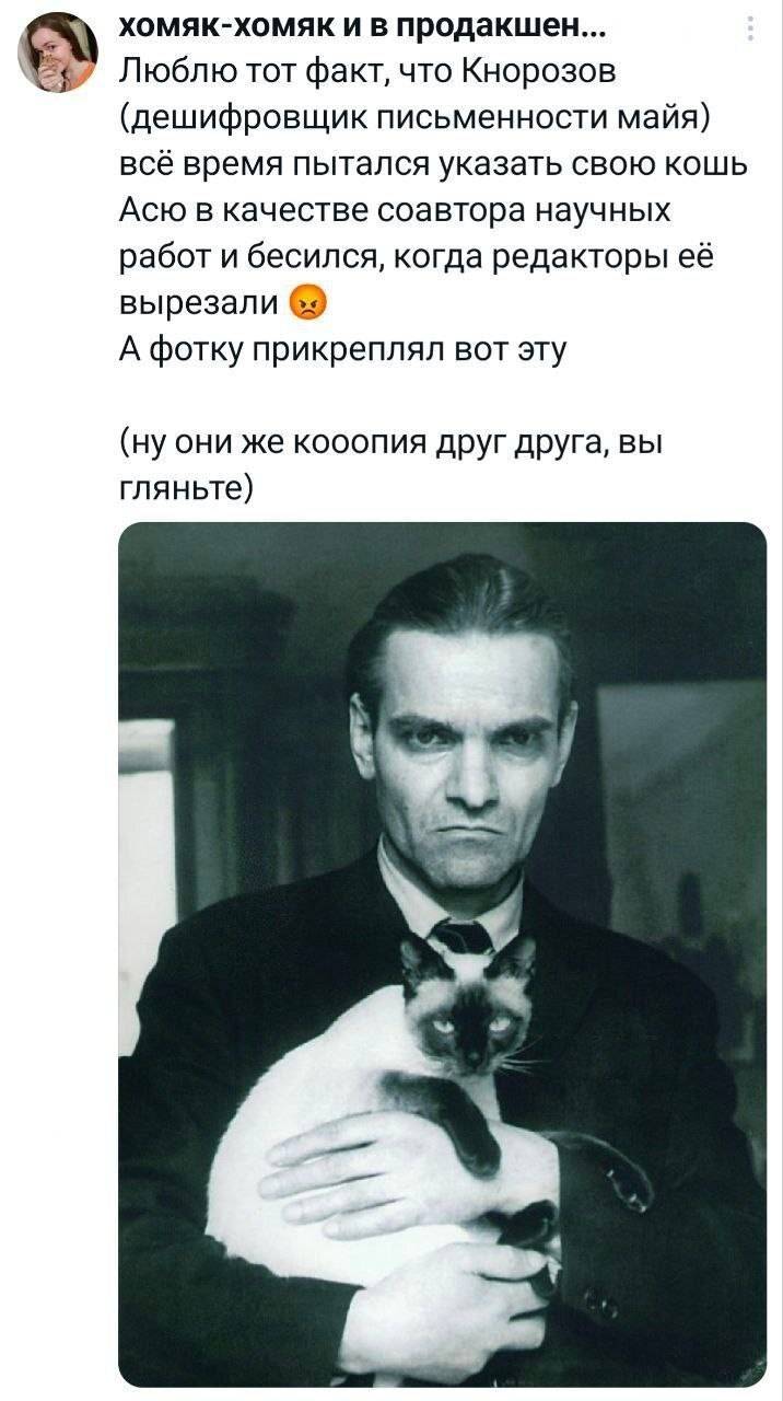 Люблю тот факт, что Кнорозов (дешифровщик письменности майя) всё время пытался указать свою кошь Асю в качестве соавтора научных работ и бесился, когда редакторы её вырезали а А фотку прикреплял вот эту (ну они же косоопия друг друга, вы гляньте)