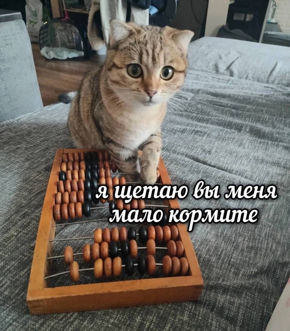 *Я считаю, вы меня мало кормите!*