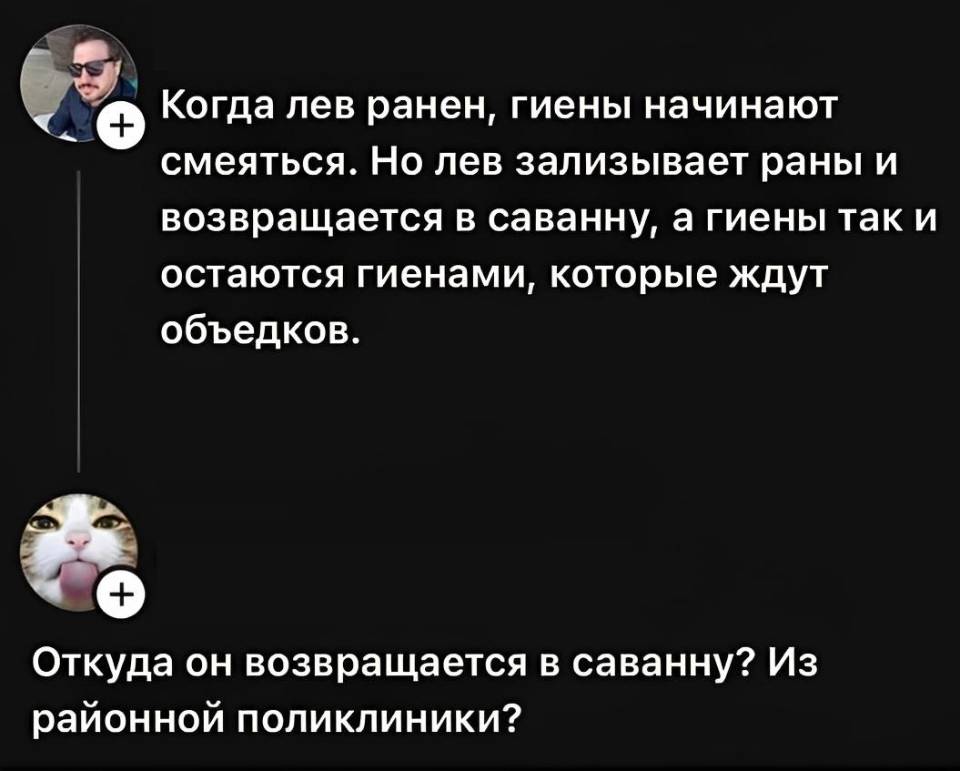 – Когда лев ранен, гиены начинают смеяться. Но лев зализывает раны и возвращается в саванну, а гиены так и остаются гиенами, которые ждут объедков.
– Откуда он возвращается в саванну? Из районной поликлиники?