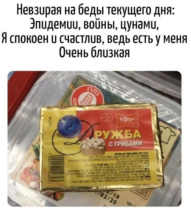 Невзирая на беды текущего дня:
Эпидемии, войны, цунами,
Я спокоен у счастлив, ведь есть у меня
Очень близкая дружба с грибами