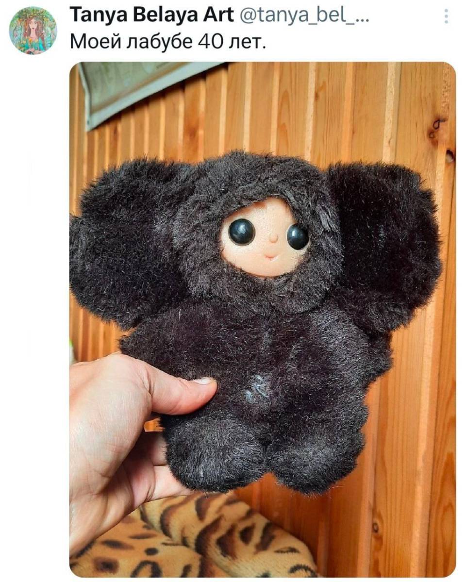 *Моей лабубе 40 лет.*