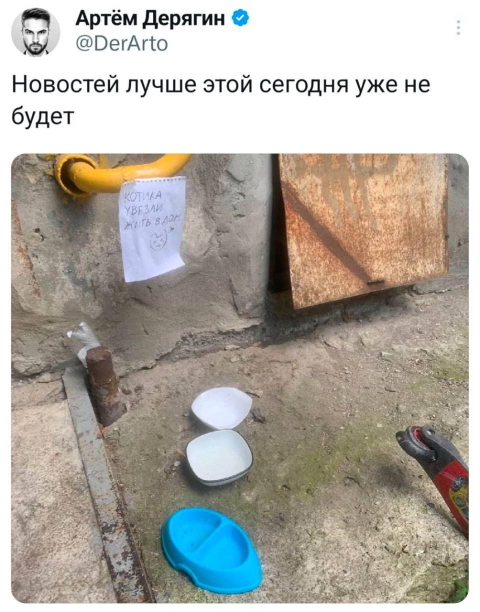 Новостей лучше этой сегодня уже не будет:
*котика увезли жить в дом*
