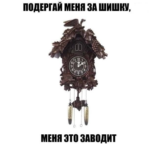 *Настенные часы с кукушкой*
ПОДЁРГАЙ МЕНЯ ЗА ШИШКУ, МЕНЯ ЭТО ЗАВОДИТ!