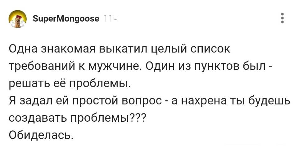 Одна знакомая выкатил целый список требований к мужчине. Один из пунктов был – решать её проблемы. Я задал ей простой вопрос – а нахрена ты будешь создавать проблемы??? Обиделась.
